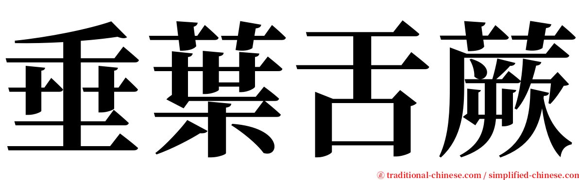 垂葉舌蕨 serif font