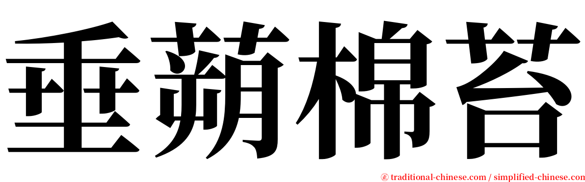 垂蒴棉苔 serif font