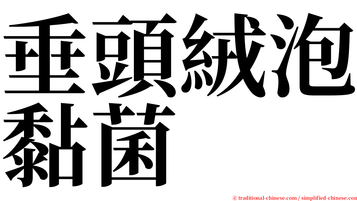 垂頭絨泡黏菌 serif font