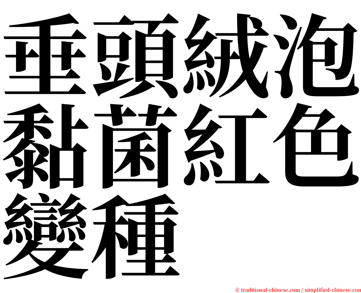 垂頭絨泡黏菌紅色變種 serif font