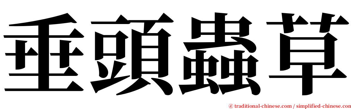 垂頭蟲草 serif font