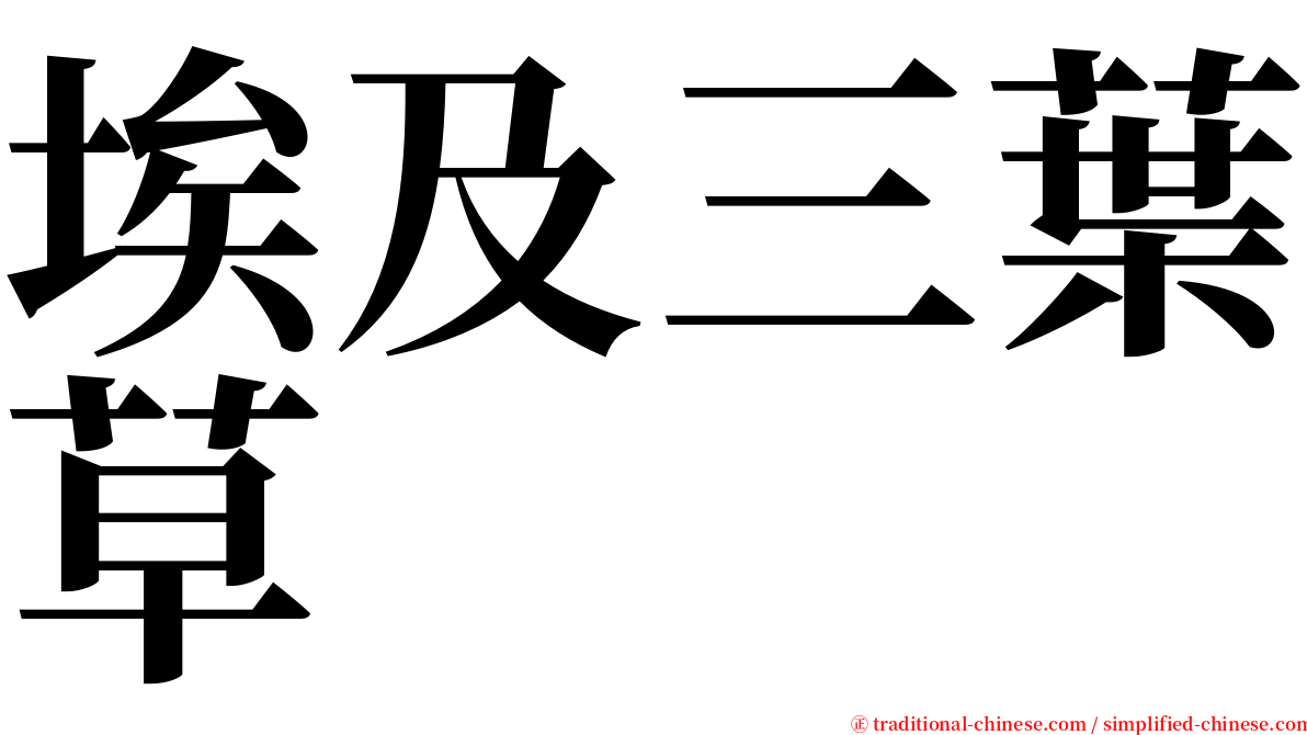 埃及三葉草 serif font