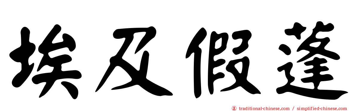 埃及假蓬