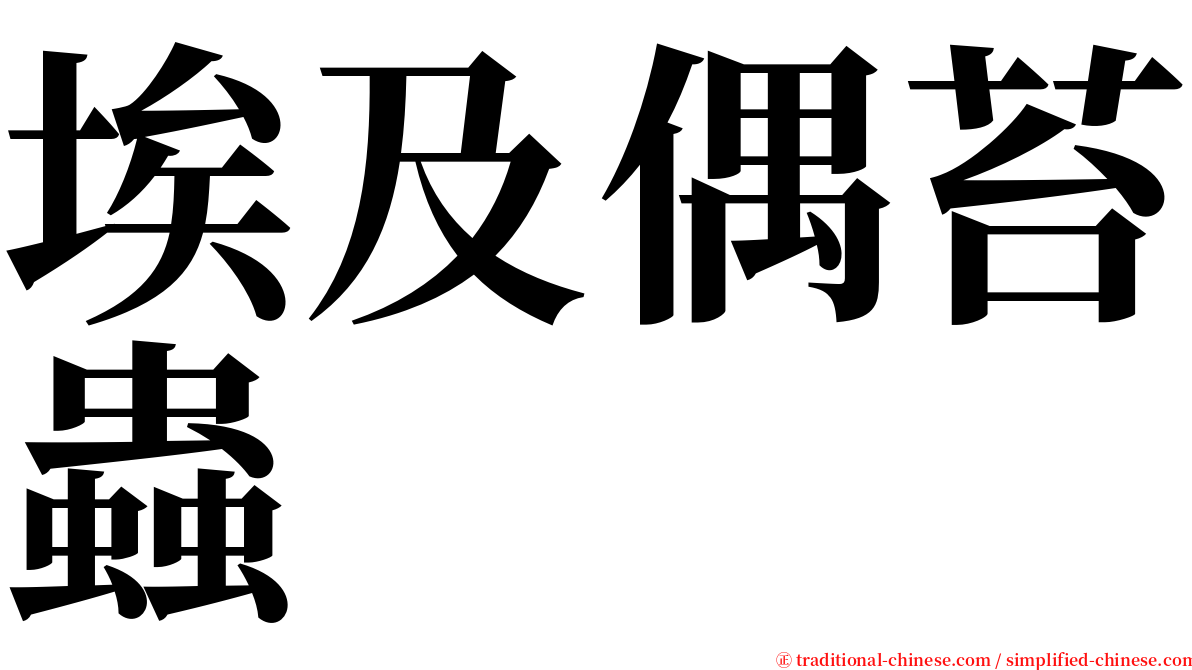 埃及偶苔蟲 serif font