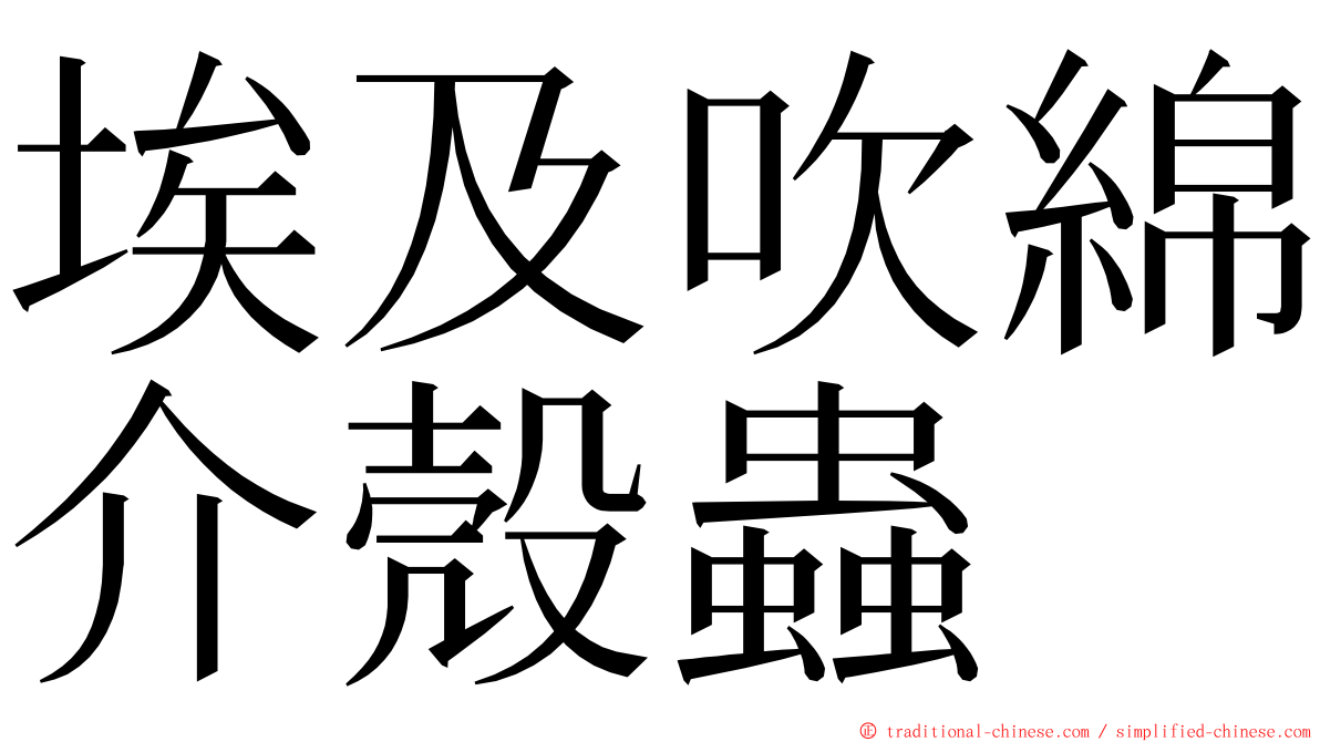 埃及吹綿介殼蟲 ming font