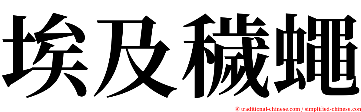 埃及穢蠅 serif font