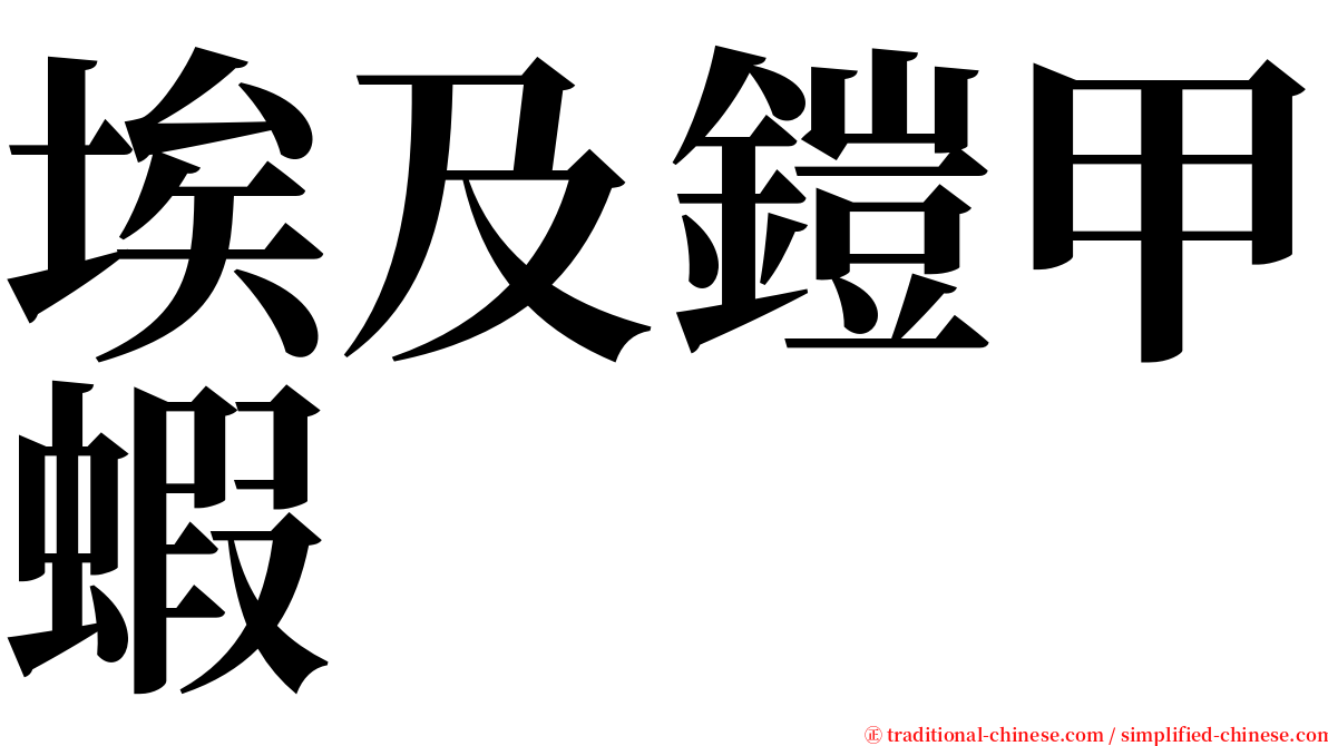 埃及鎧甲蝦 serif font