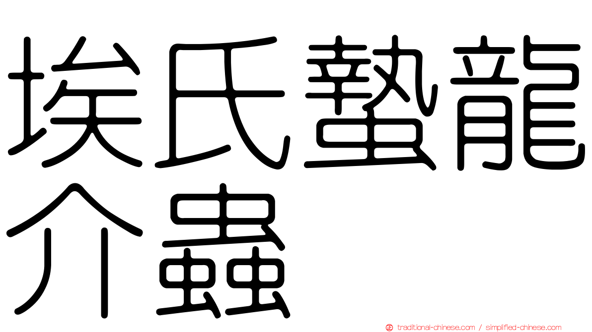 埃氏蟄龍介蟲