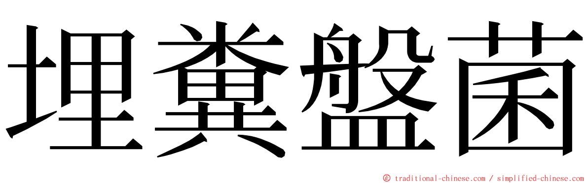 埋糞盤菌 ming font