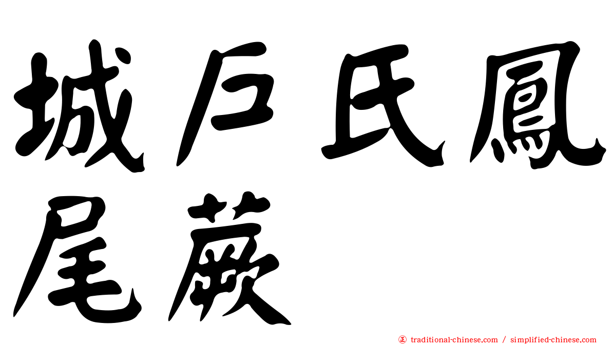 城戶氏鳳尾蕨