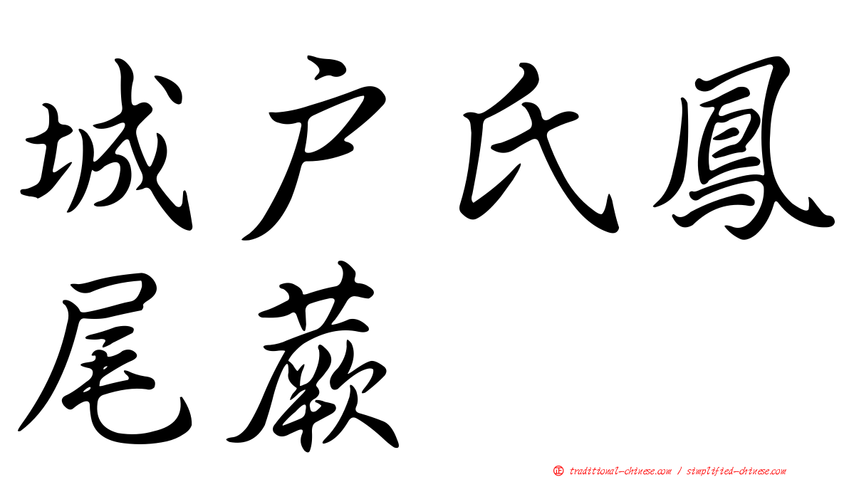 城戶氏鳳尾蕨