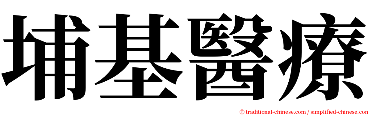 埔基醫療 serif font