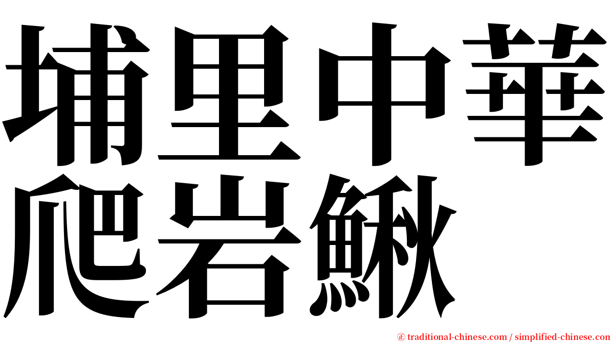 埔里中華爬岩鰍 serif font