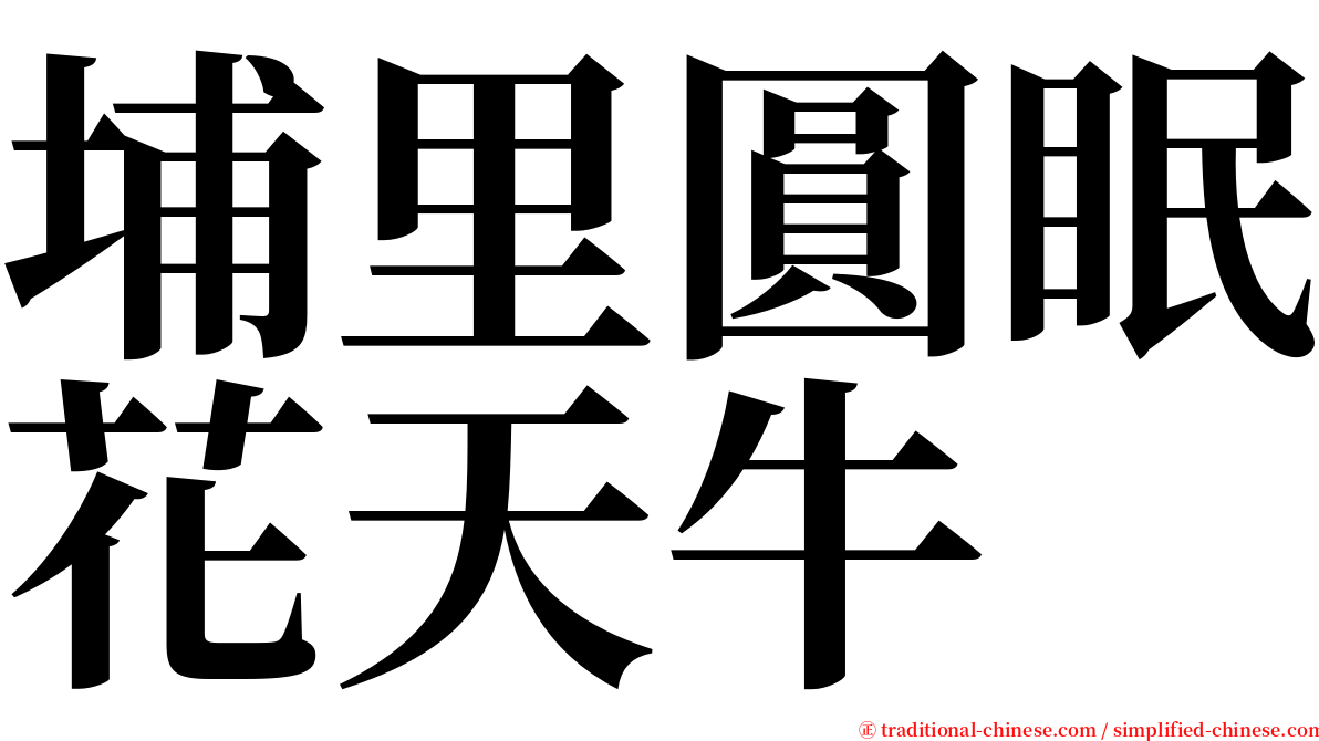 埔里圓眠花天牛 serif font