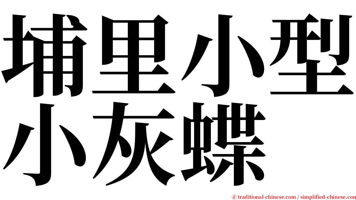 埔里小型小灰蝶 serif font