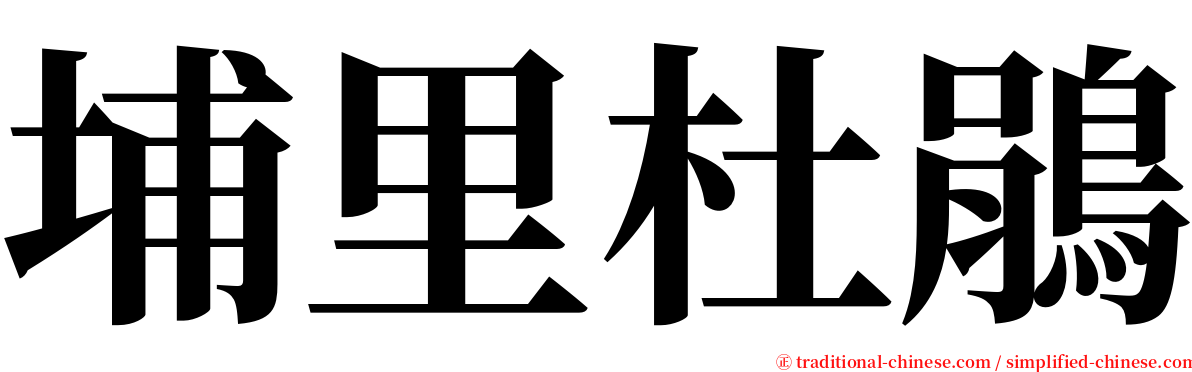 埔里杜鵑 serif font