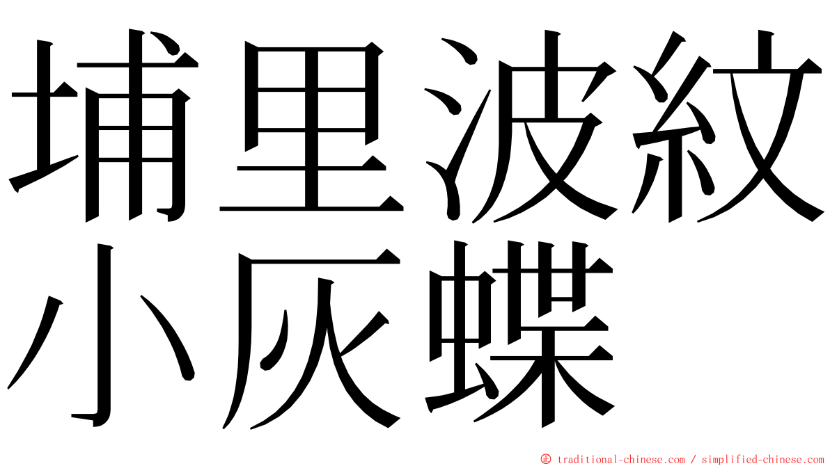 埔里波紋小灰蝶 ming font