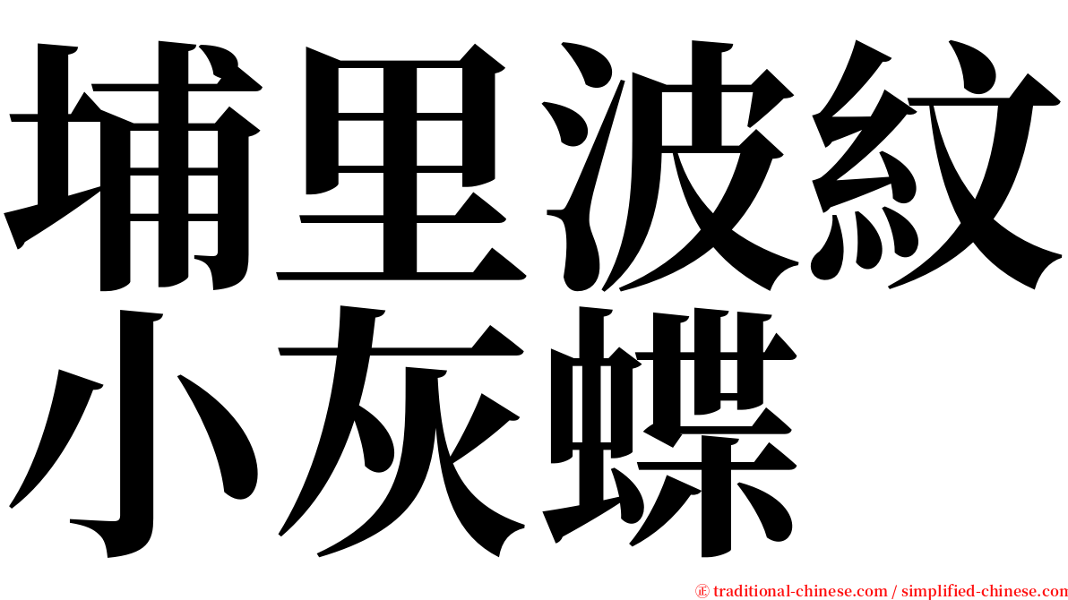 埔里波紋小灰蝶 serif font