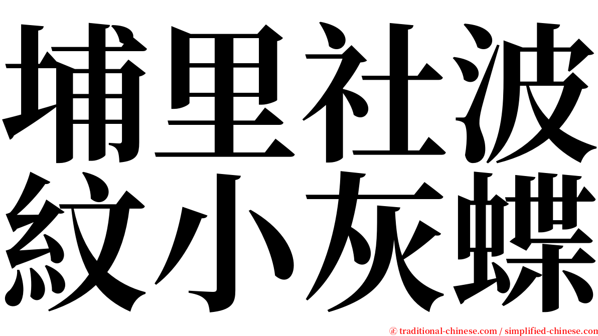埔里社波紋小灰蝶 serif font