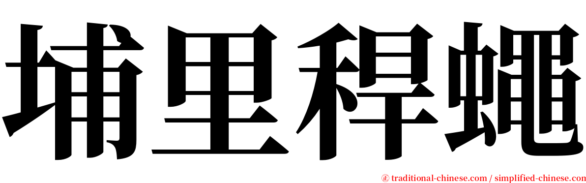 埔里稈蠅 serif font