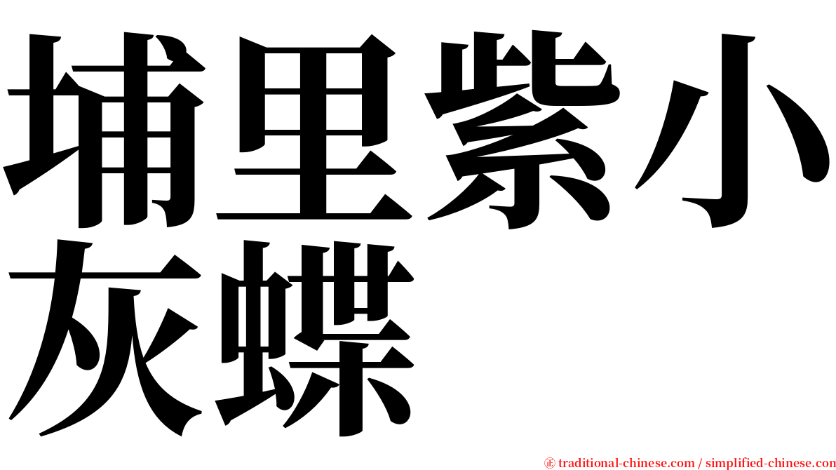 埔里紫小灰蝶 serif font