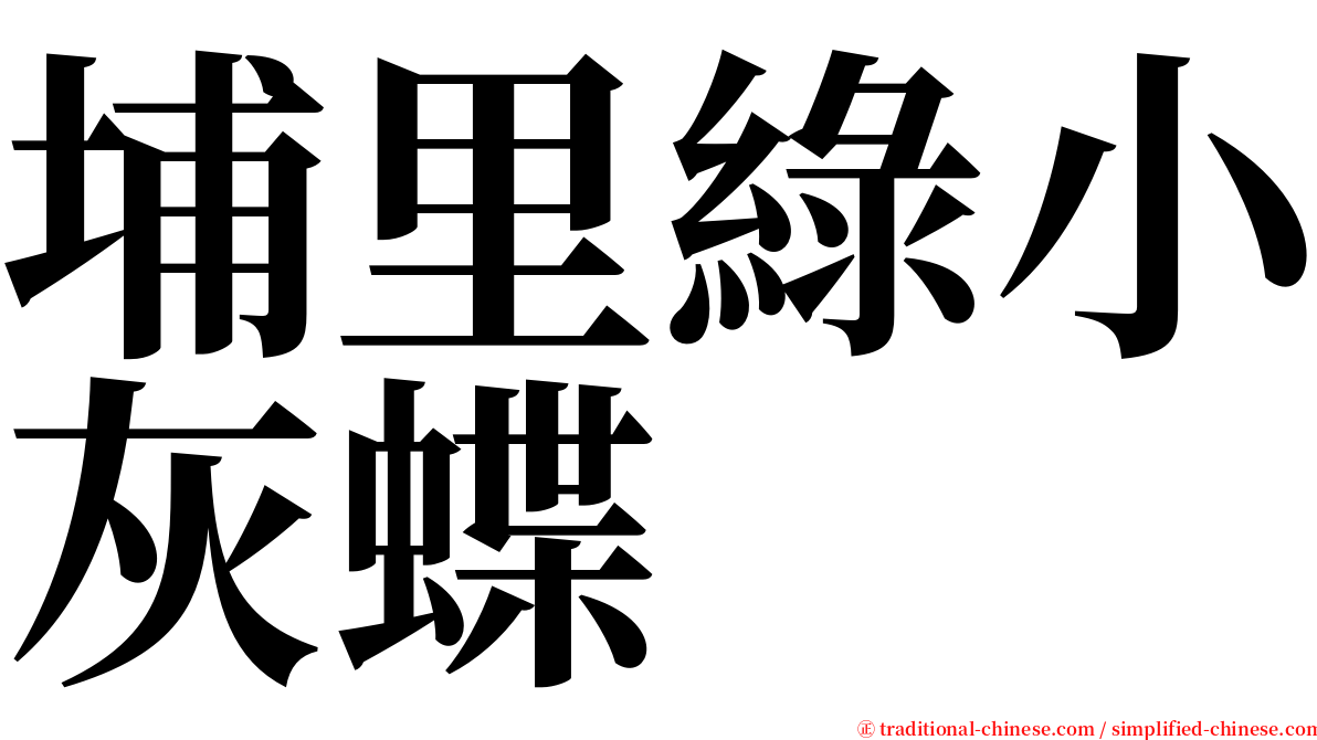 埔里綠小灰蝶 serif font