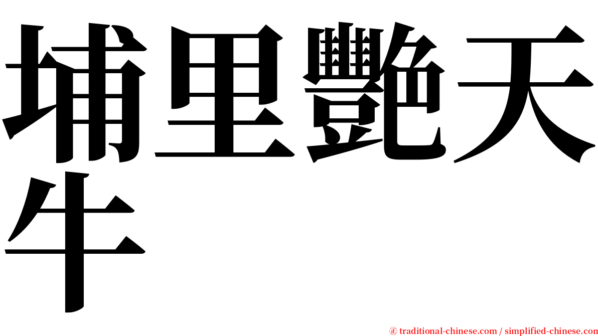 埔里艷天牛 serif font