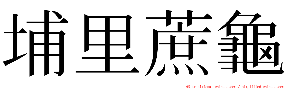 埔里蔗龜 ming font