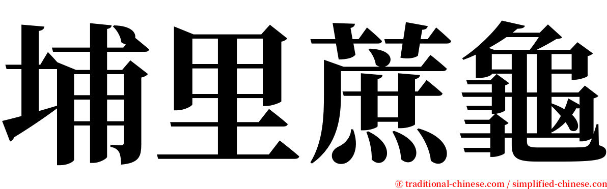 埔里蔗龜 serif font