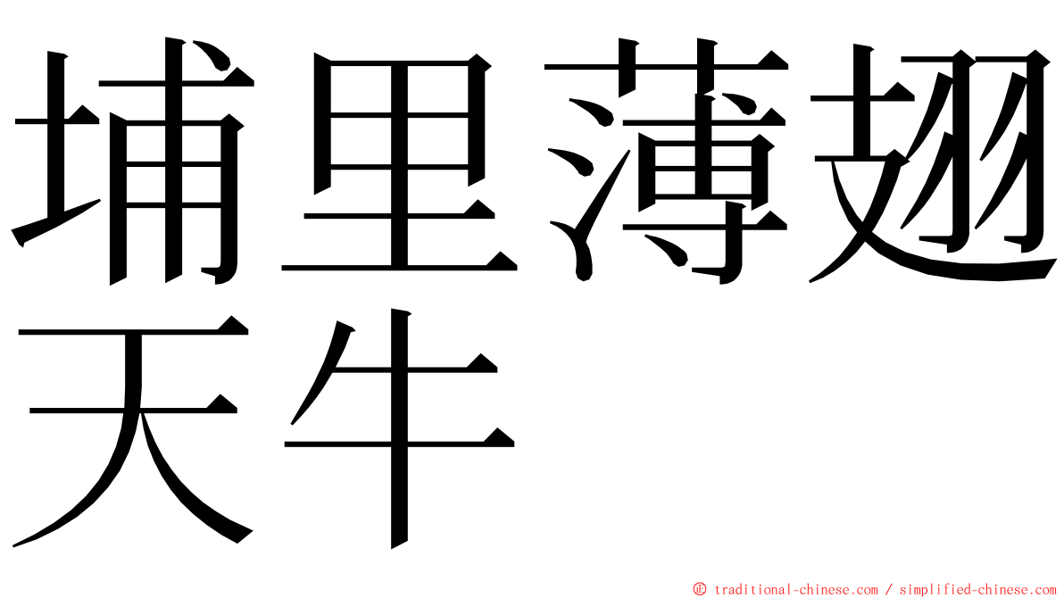 埔里薄翅天牛 ming font