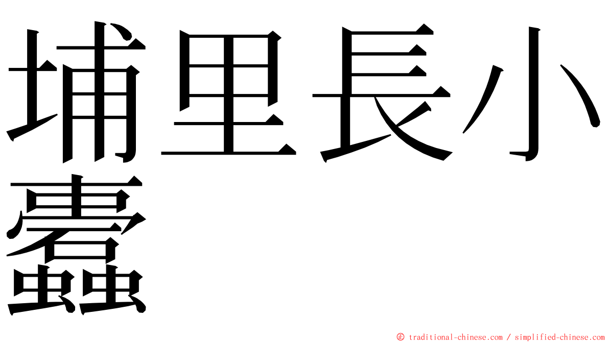 埔里長小蠹 ming font