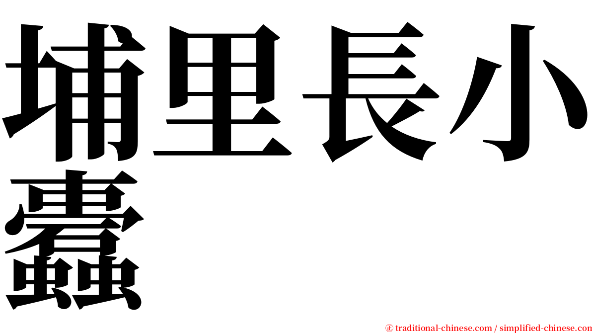 埔里長小蠹 serif font