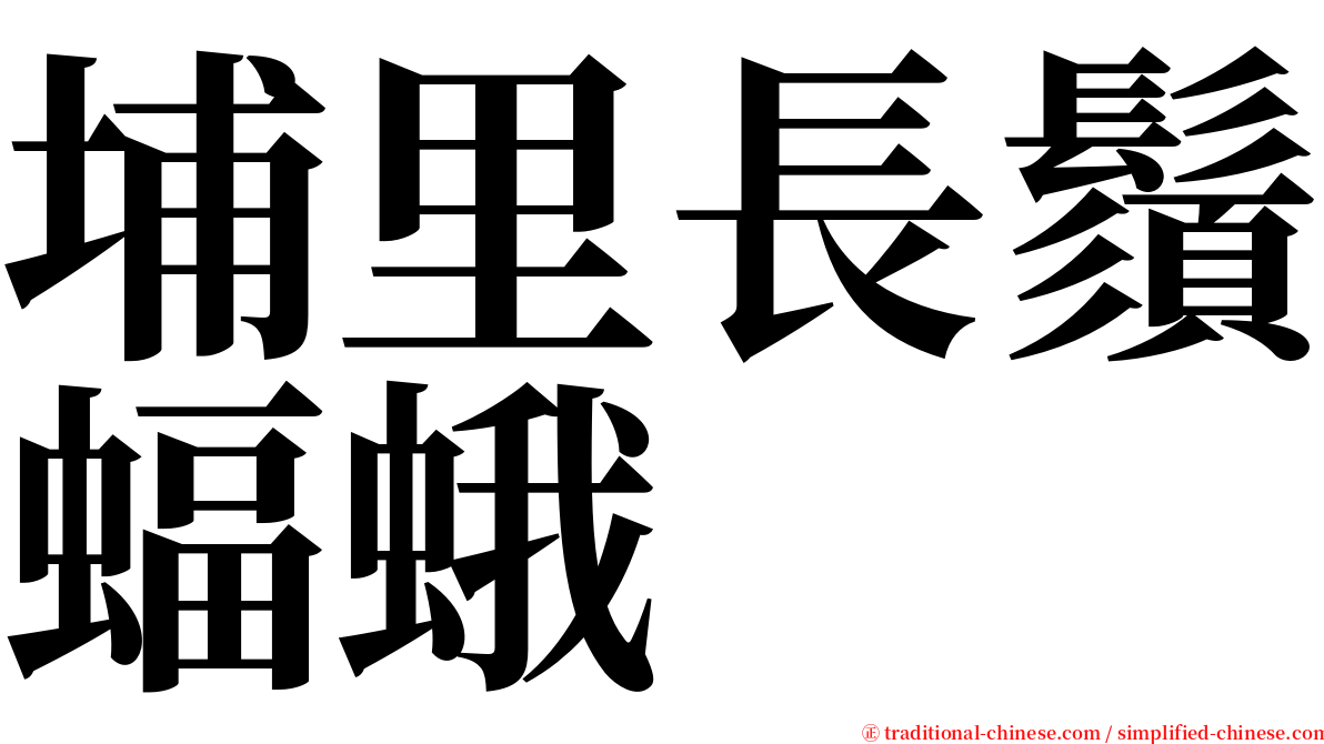 埔里長鬚蝠蛾 serif font