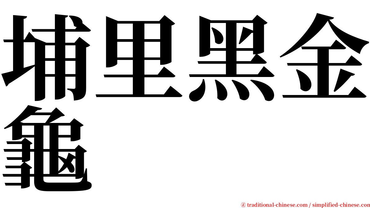 埔里黑金龜 serif font