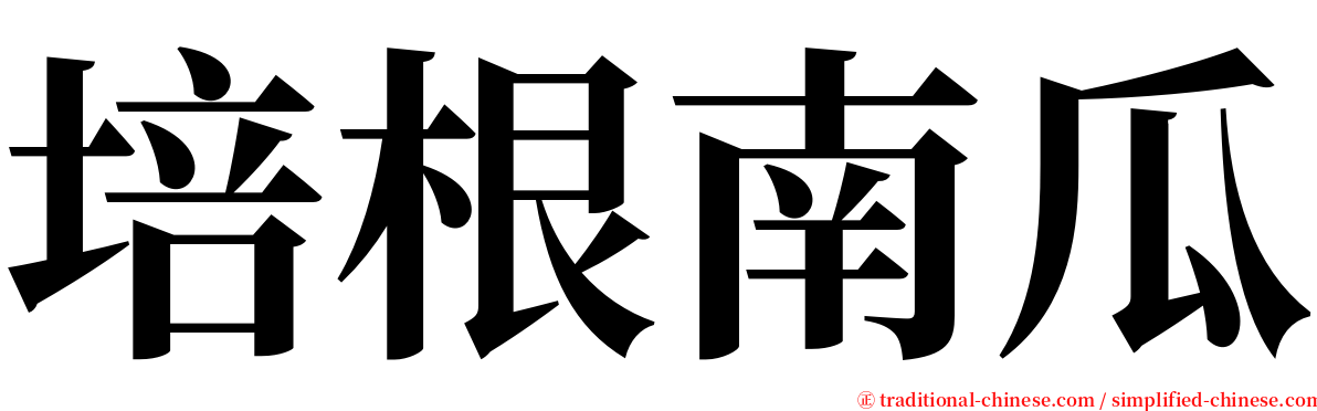 培根南瓜 serif font