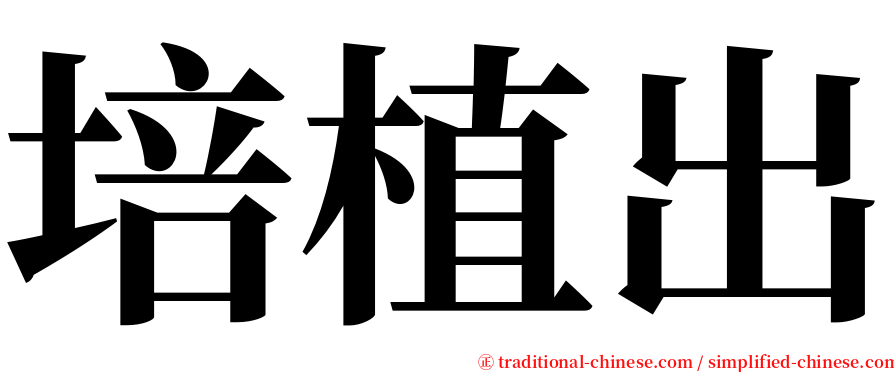 培植出 serif font