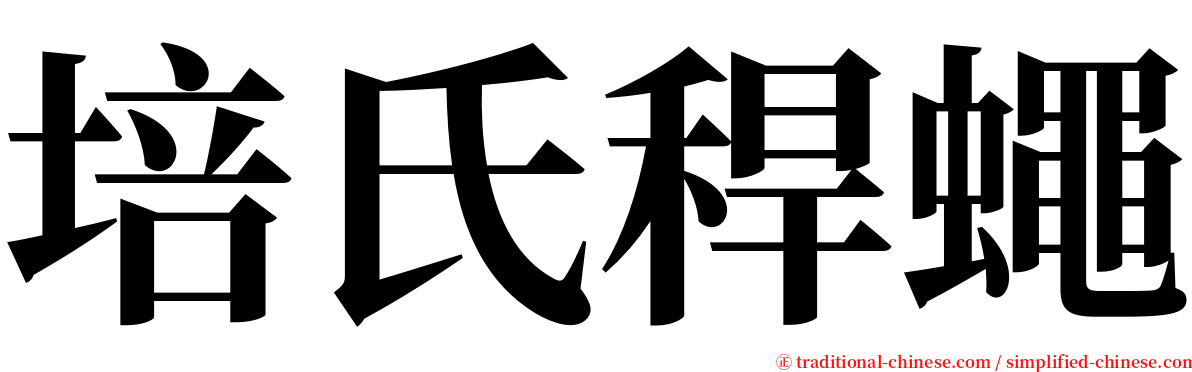 培氏稈蠅 serif font