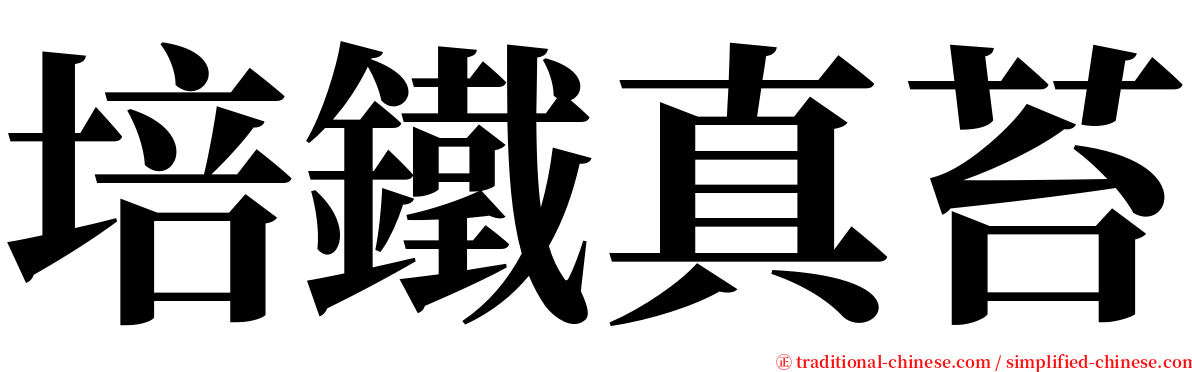 培鐵真苔 serif font