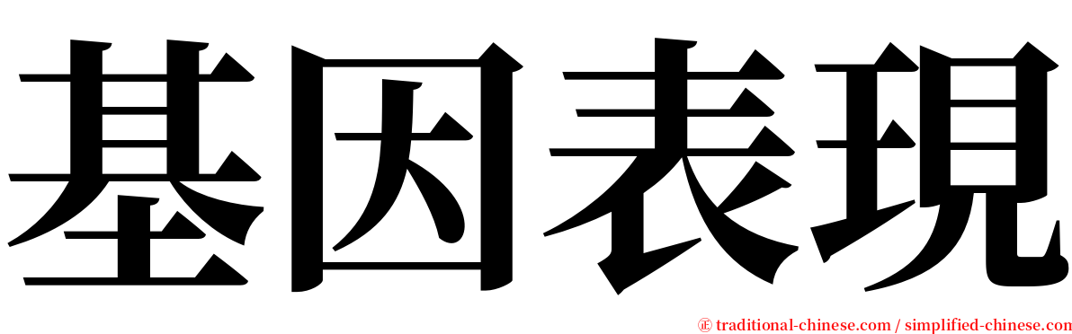 基因表現 serif font