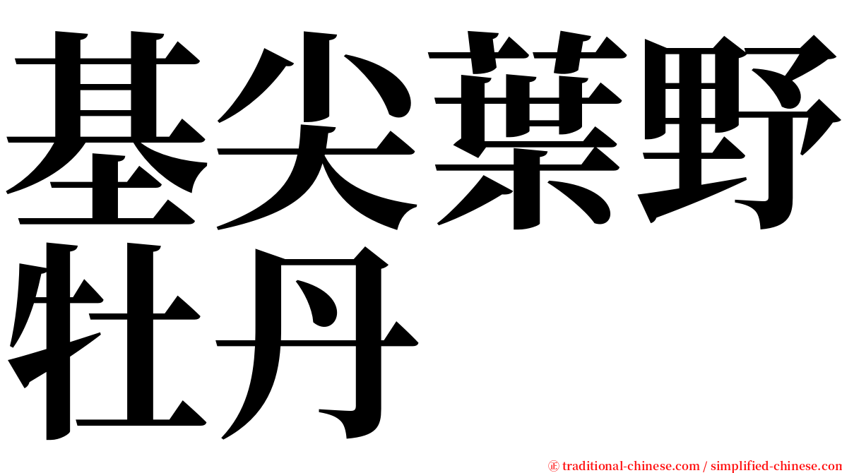 基尖葉野牡丹 serif font