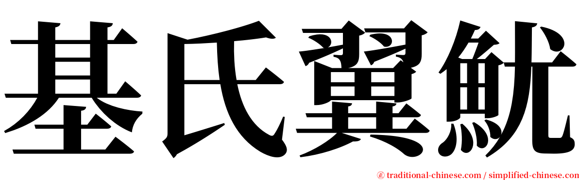 基氏翼魷 serif font