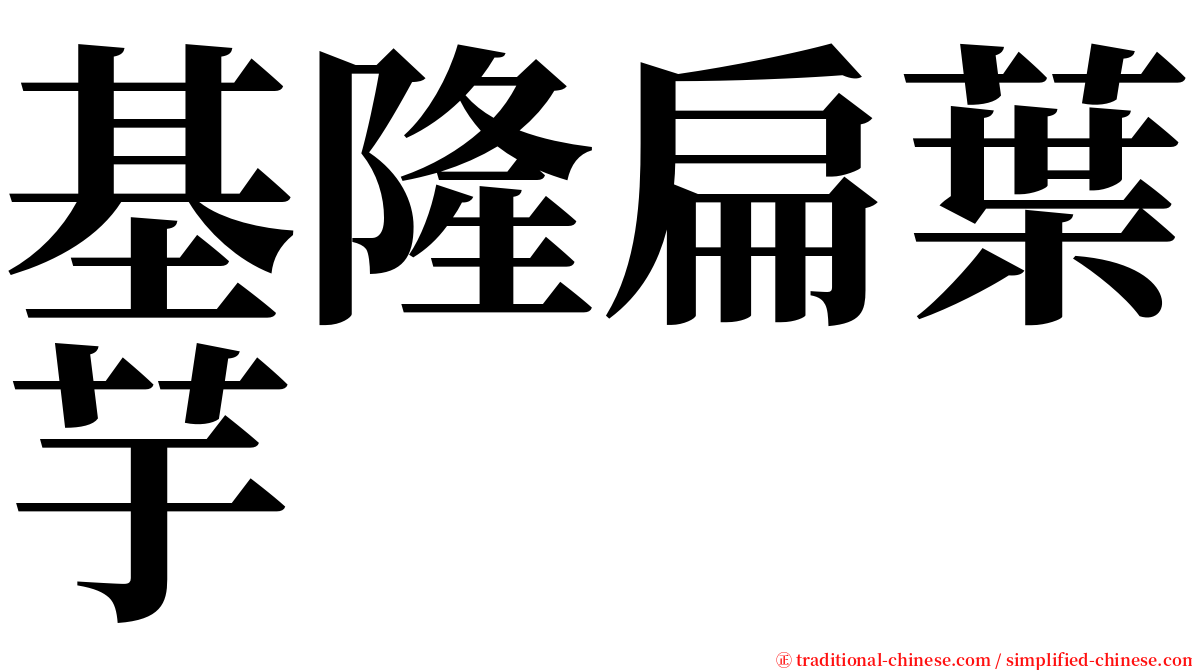 基隆扁葉芋 serif font