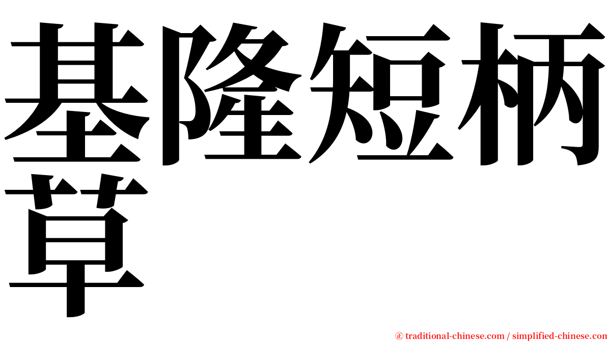 基隆短柄草 serif font