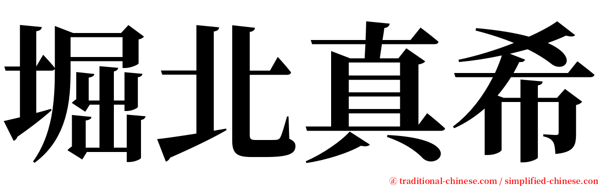 堀北真希 serif font