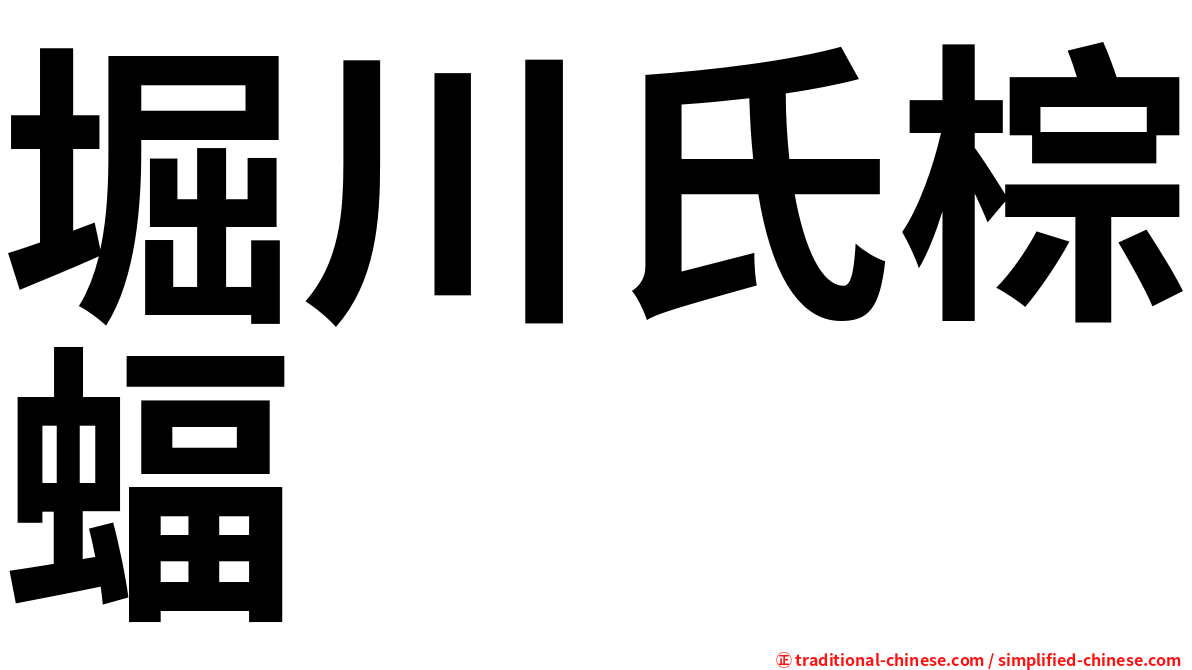 堀川氏棕蝠