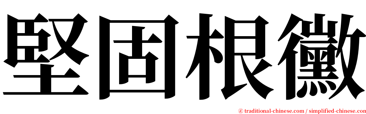 堅固根黴 serif font