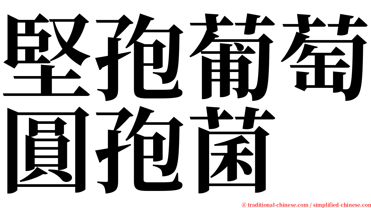 堅孢葡萄圓孢菌 serif font