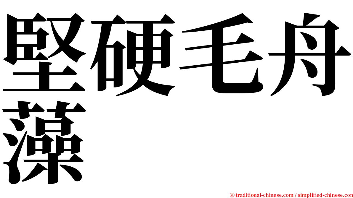 堅硬毛舟藻 serif font