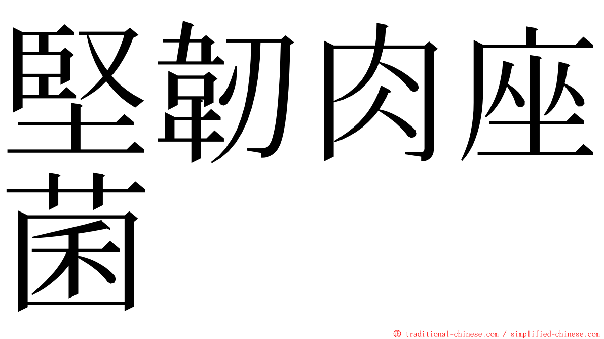 堅韌肉座菌 ming font