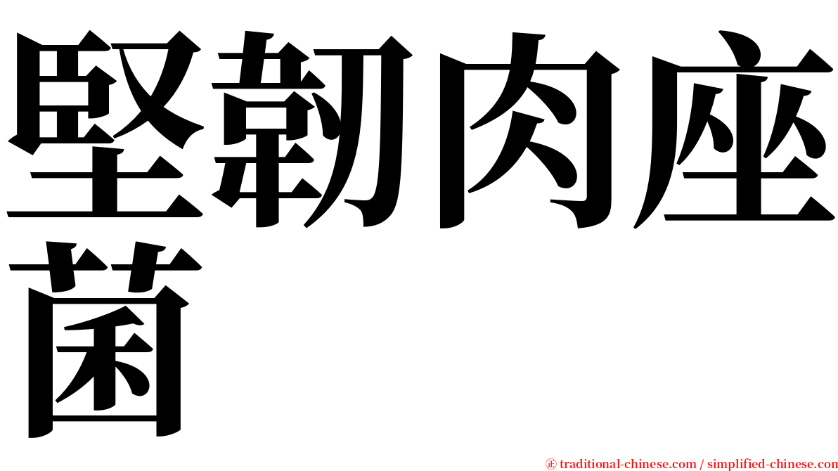 堅韌肉座菌 serif font